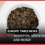 Guayusa Tea: Benefits, Brewing Tips, and More!